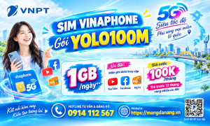 SIM YOLO100M